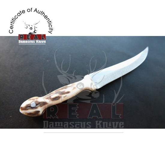 Custom Made Mini Knife With Leather Sheath (deer Horn Handle)