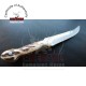 Custom Made Mini Knife With Leather Sheath (deer Horn Handle)