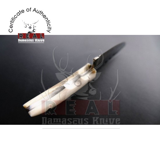 Custom Made Pocket Belt Mini Knife With Leather Sheath (deer Horn Handle)