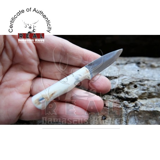 Custom Made Mini Pocket Belt Knife With Leather Sheath (deer Horn Handle)
