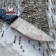 Personalized Custom Wood Handle High Carbon Steel Fixed Blade Karambit Knife