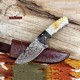 Custom Damascus Steel Fixed Blade Knife With Camel Bone Handle For Sale