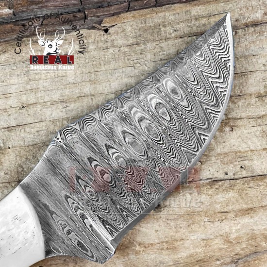 Damascus Steel Pocket Knife - Father's Day Gift - 7'' Custom Camel Bone Handle