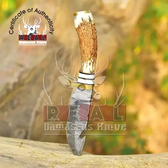 Premium Damascus Steel Guthook Hunting Knife main image 0