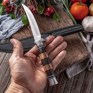 Stainless steel pirate knife, fruit knife