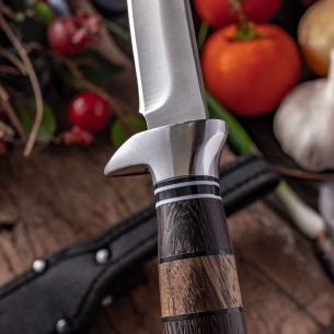 Stainless steel pirate knife, fruit knife