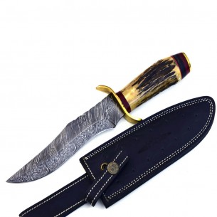 Damascus Bowie Hunting Knife, Buck Hunting Knife Stag Antler Handle