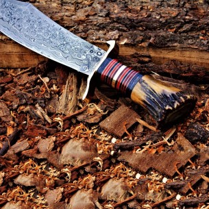 Aladdin Knife, Spartan Knife, Damascus Steel Blade Knife, War Knife, Stag Crown Handle , Spartan Sword, Personalized Knife