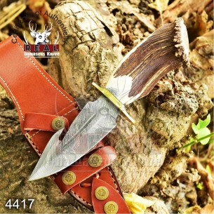 Handmade Damascus Hunting Knife Forged Steel With Stag Crown Handle Groomsmen Gift